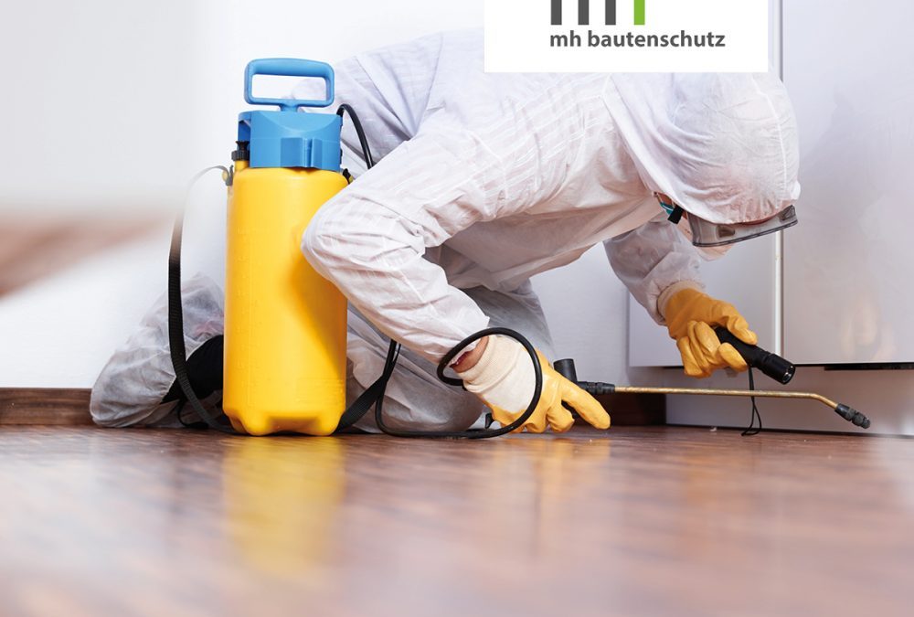 mh bautenschutz